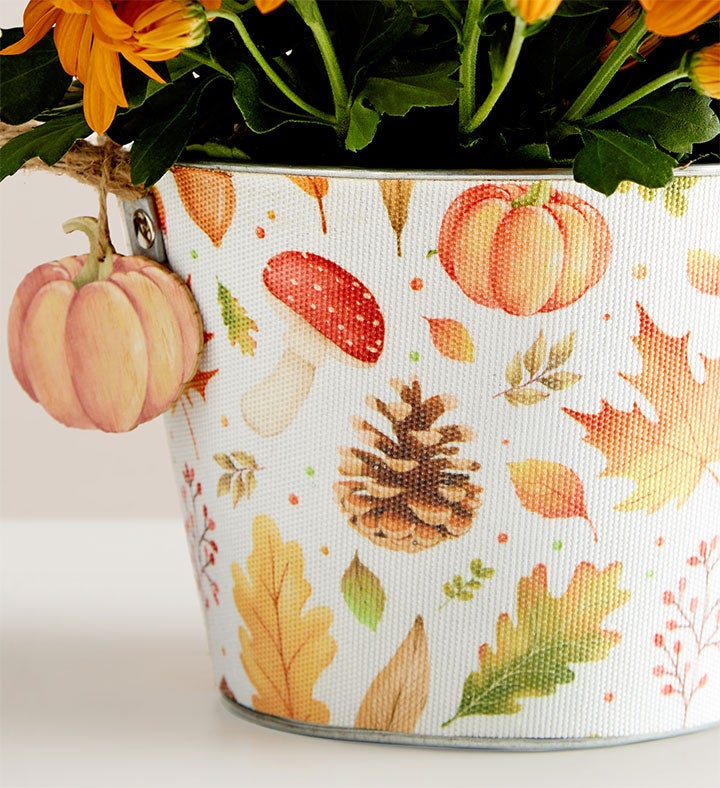 Pumpkin Patch Mum