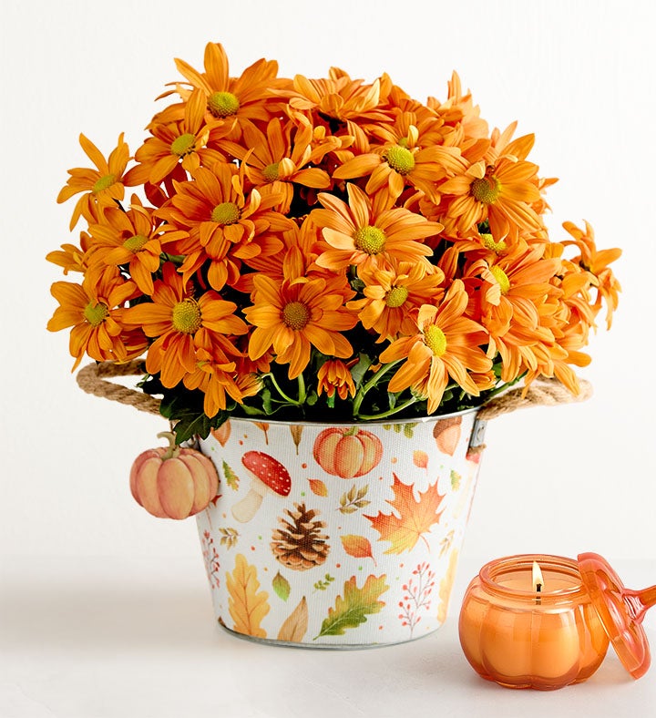 Pumpkin Patch Mum