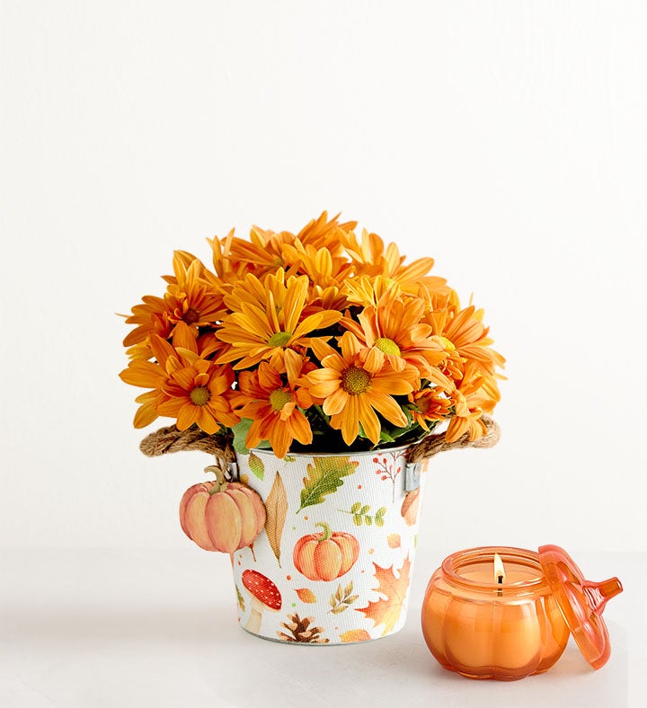 Pumpkin Patch Mum