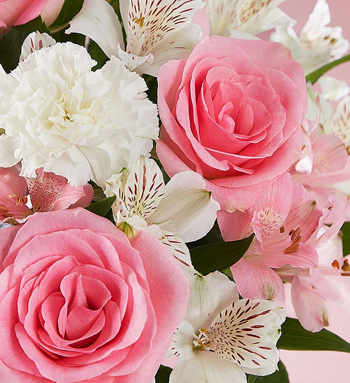 Cherished Blooms & Time to Celebrate Birthday Cake™