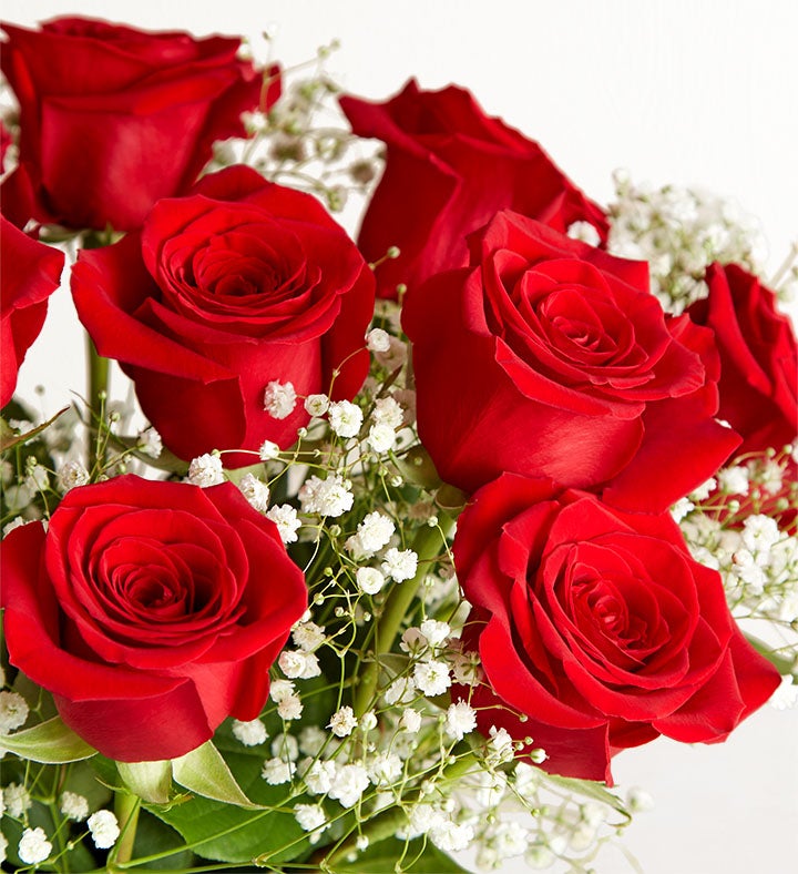 Blooming Love™ Premium Red Roses