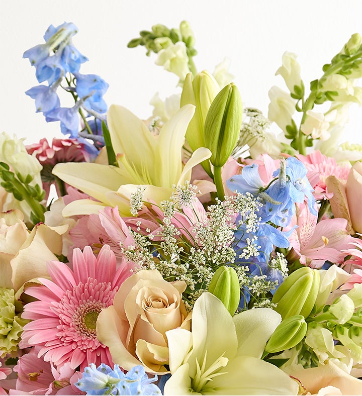 Delphinium Meadow™