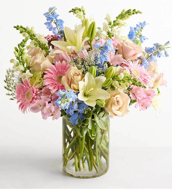 Delphinium Meadow™