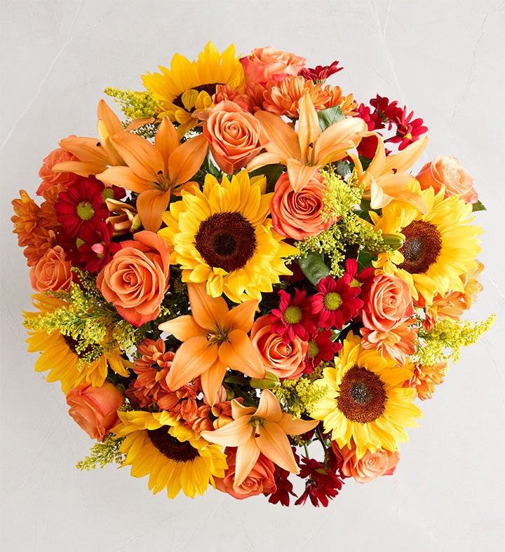 Fields of Europe® Fall