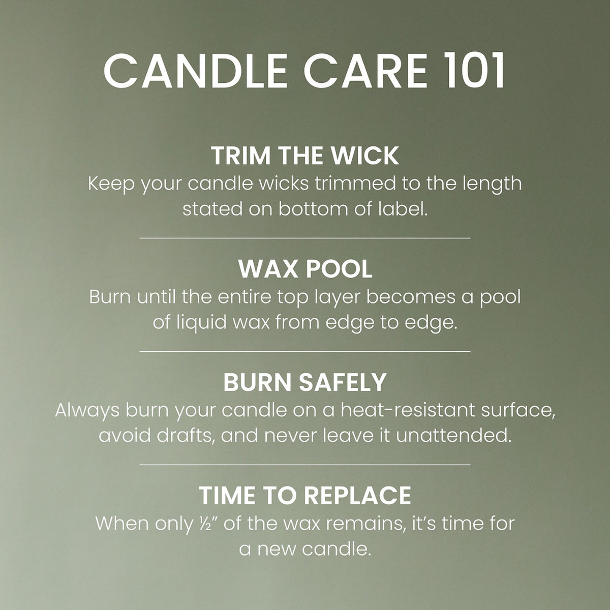 Cardamom Woods Original Large Jar Candle
