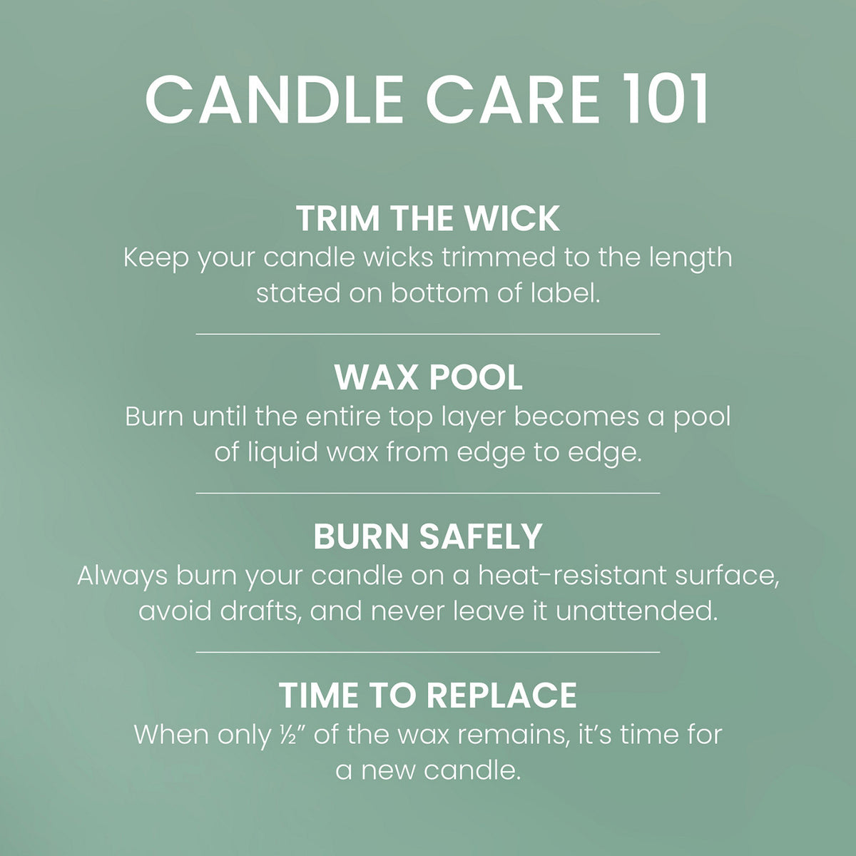 Canyon Pine Original Large Jar Candle